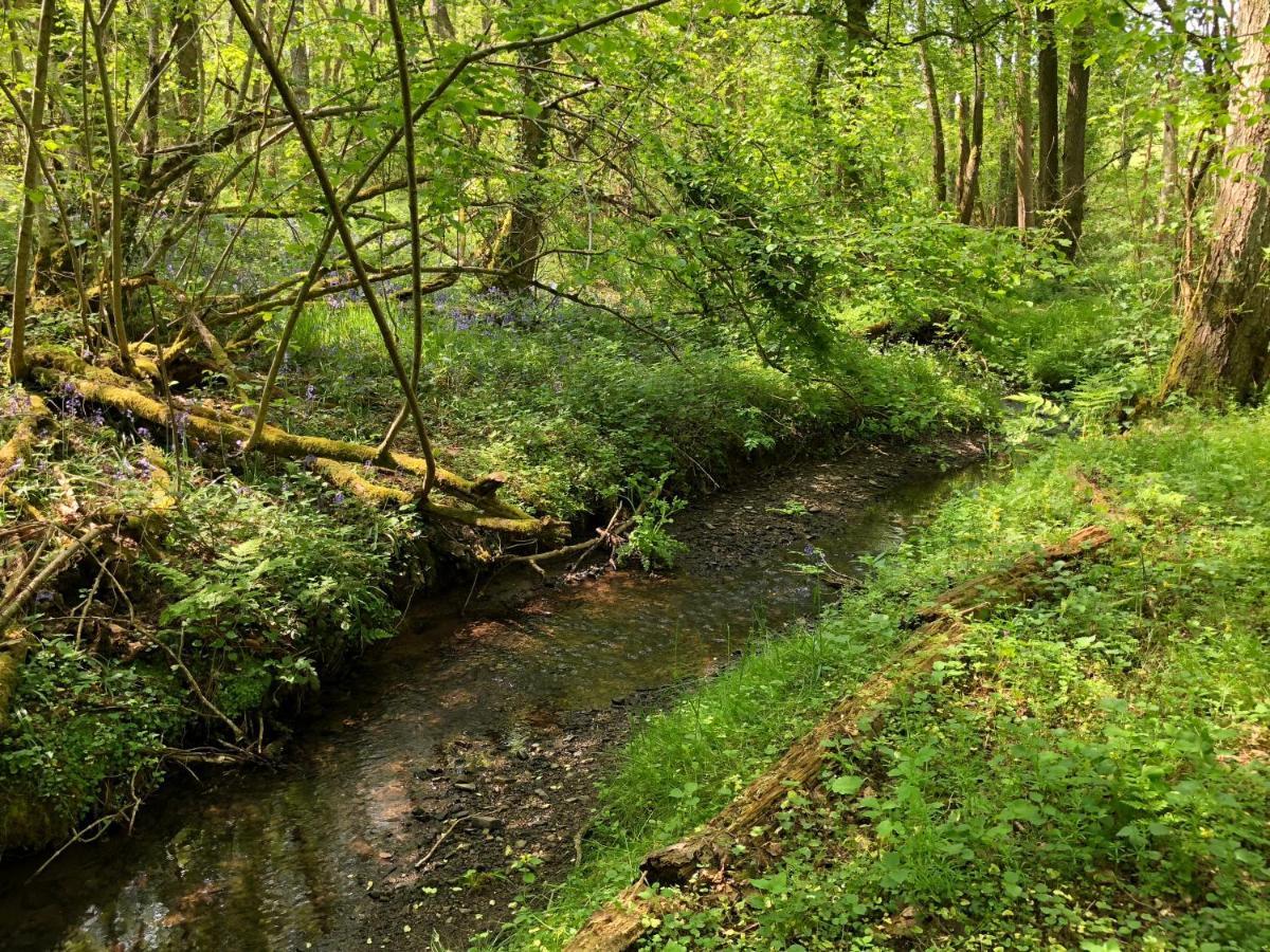 Coed Y Marchog Woodland Retreat Villa Hereford Exteriör bild