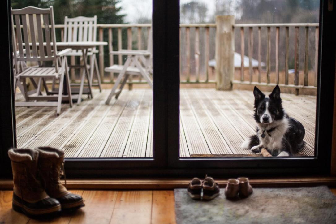 Coed Y Marchog Woodland Retreat Villa Hereford Exteriör bild