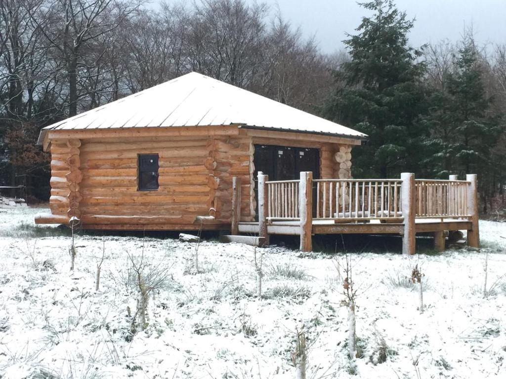 Coed Y Marchog Woodland Retreat Villa Hereford Exteriör bild