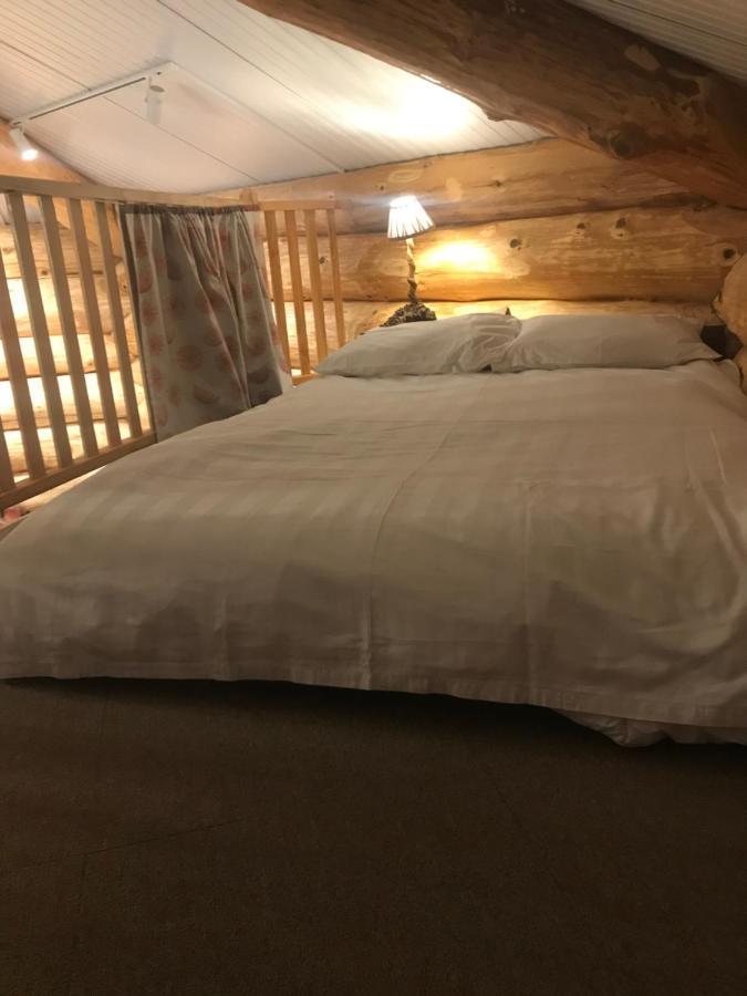 Coed Y Marchog Woodland Retreat Villa Hereford Exteriör bild